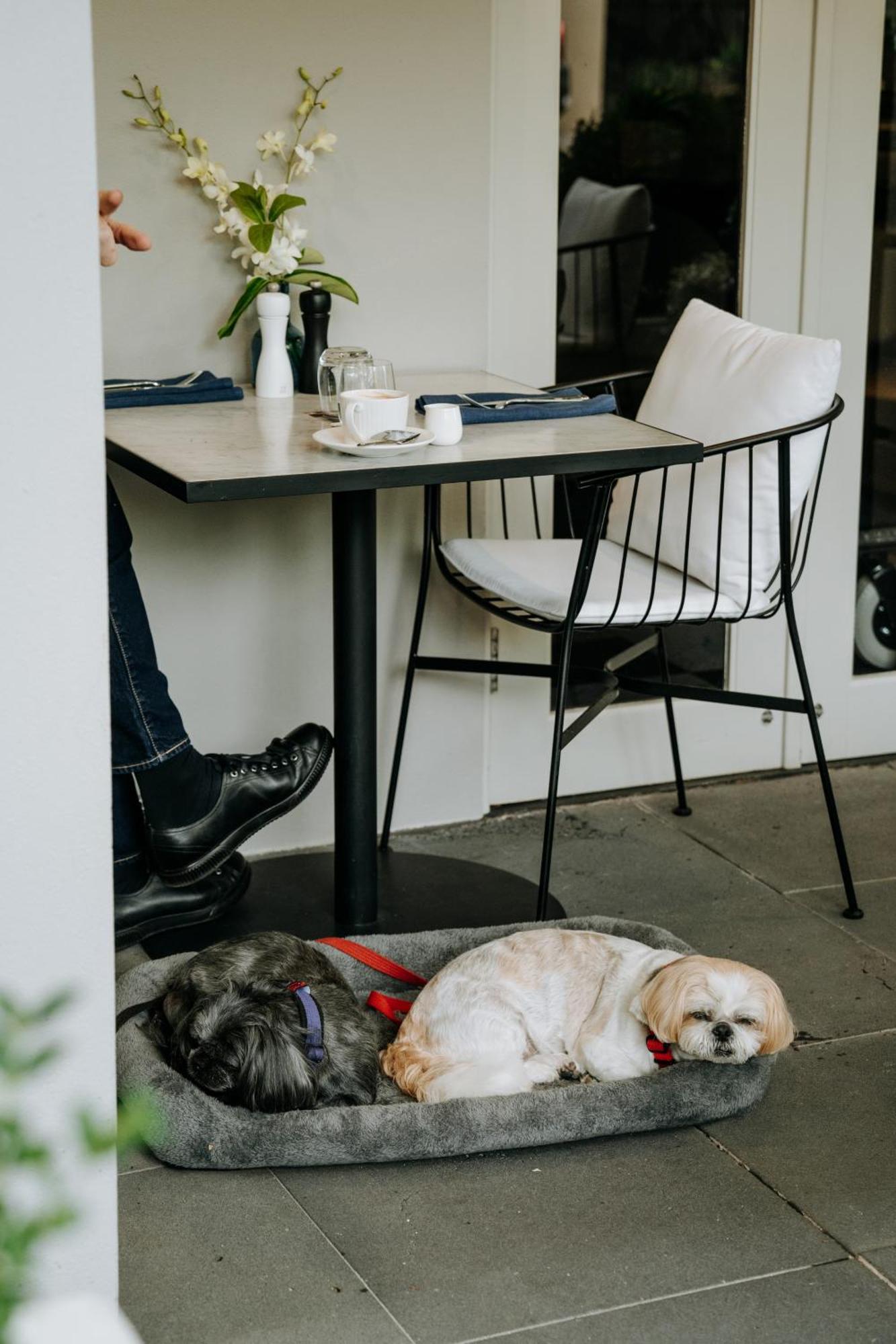 The Lyall Melbourne Luaran gambar